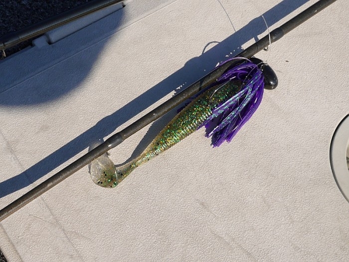 truth  ブログ写真 2017/11/10