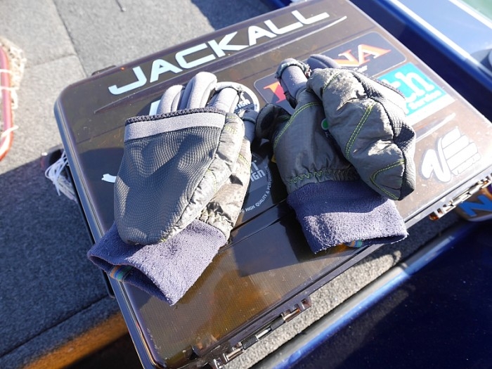 truth  ブログ写真 2017/11/10