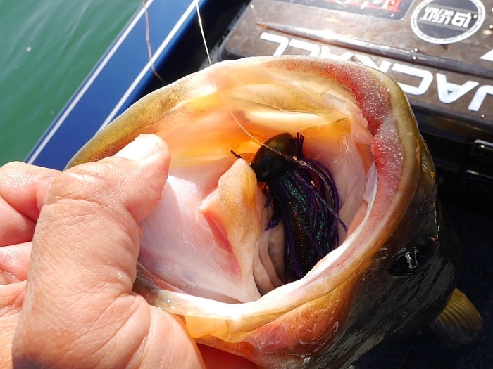 truth  ブログ写真 2017/11/10