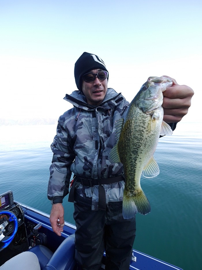 truth  ブログ写真 2017/11/10