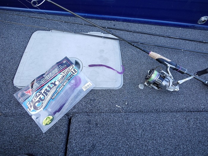 truth  ブログ写真 2017/11/10