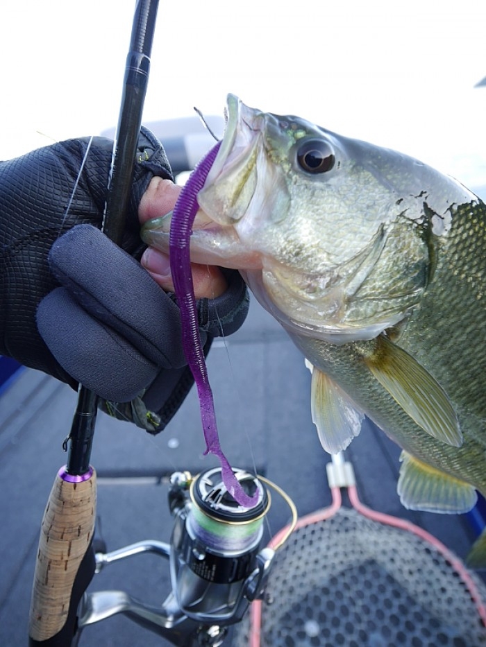 truth  ブログ写真 2017/11/10