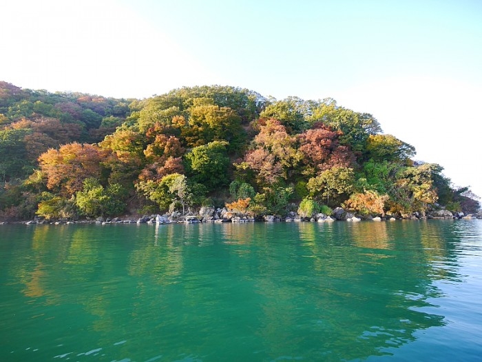 truth  ブログ写真 2017/11/10