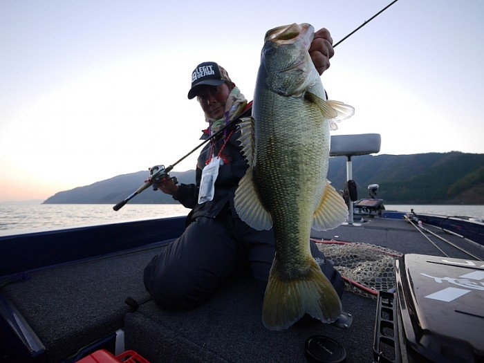 truth  ブログ写真 2017/11/10