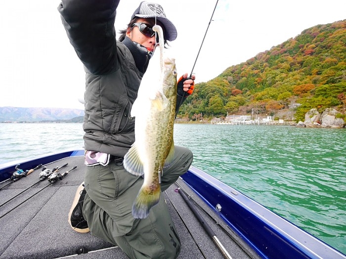 truth  ブログ写真 2017/11/12