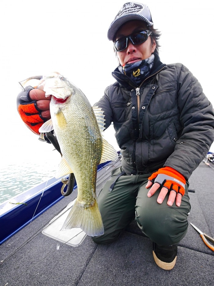 truth  ブログ写真 2017/11/12