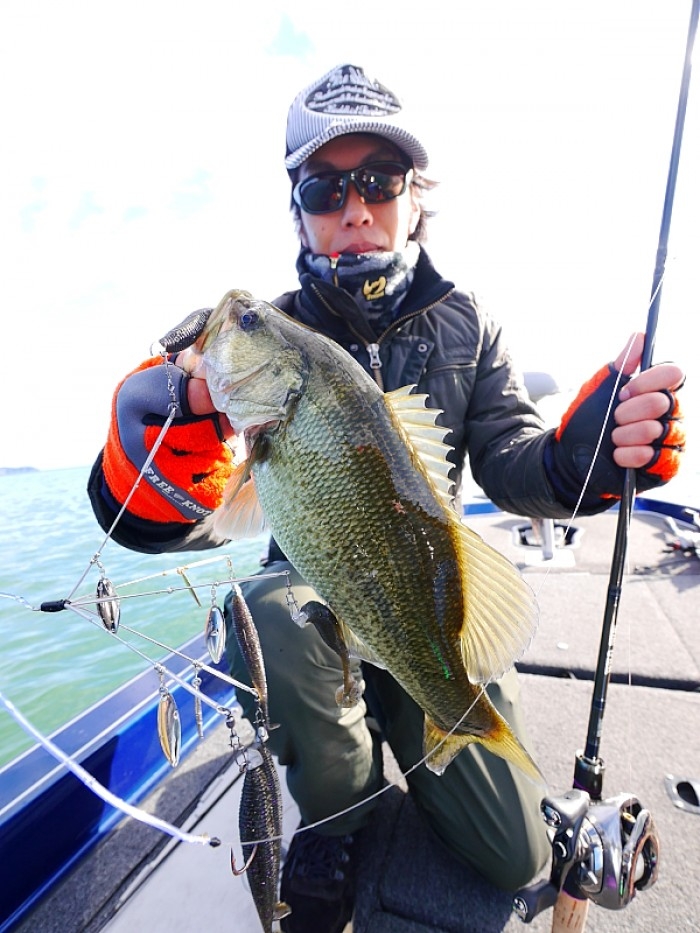 truth  ブログ写真 2017/11/12