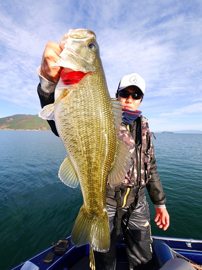 truth  ブログ写真 2017/11/12