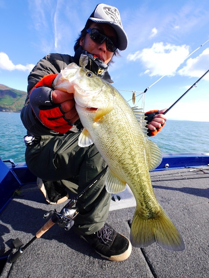 truth  ブログ写真 2017/11/12