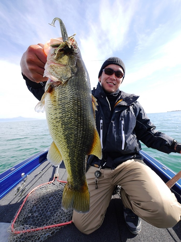 truth  ブログ写真 2017/11/13