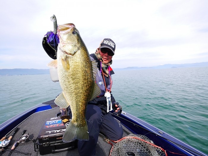 truth  ブログ写真 2017/11/13