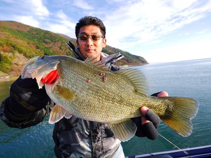 truth  ブログ写真 2017/11/13