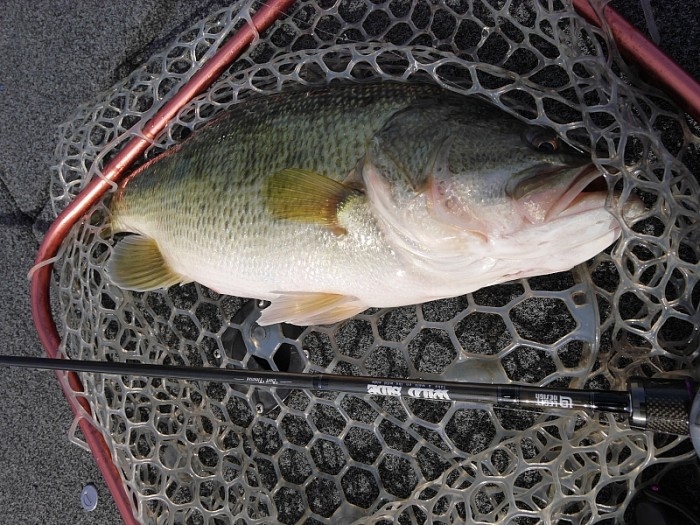 truth  ブログ写真 2017/11/17