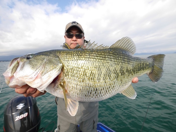 truth  ブログ写真 2017/11/17