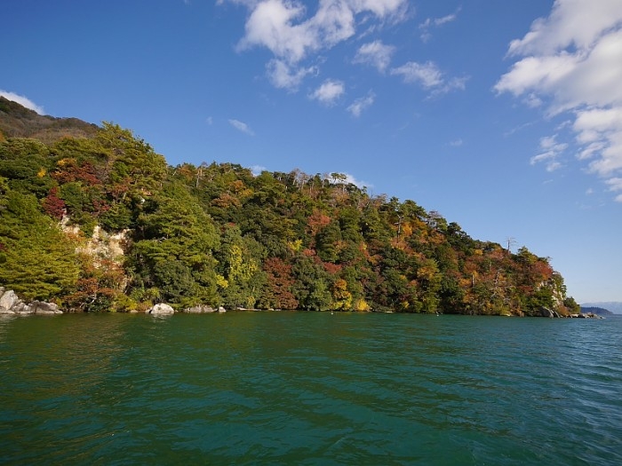 truth  ブログ写真 2017/11/21