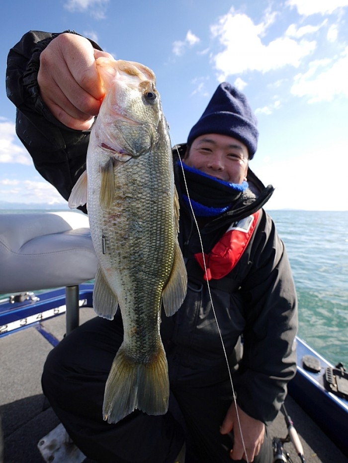 truth  ブログ写真 2017/11/21