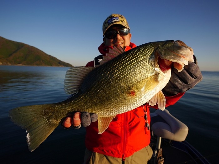 truth  ブログ写真 2017/11/21