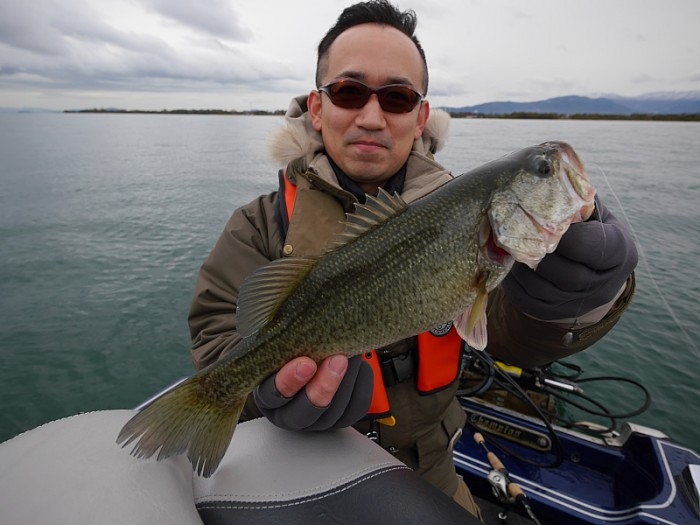 truth  ブログ写真 2017/11/21