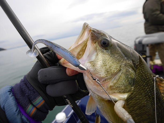 truth  ブログ写真 2017/11/21