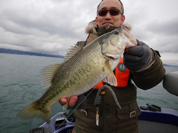 truth  ブログ写真 2017/11/21