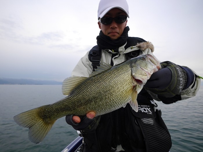 truth  ブログ写真 2017/11/22