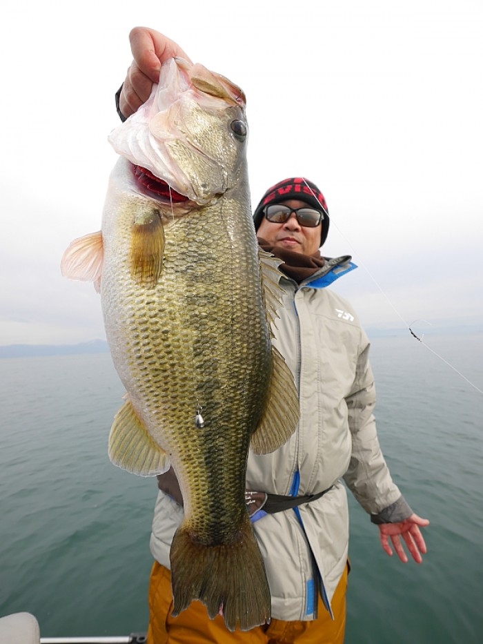 truth  ブログ写真 2017/11/22