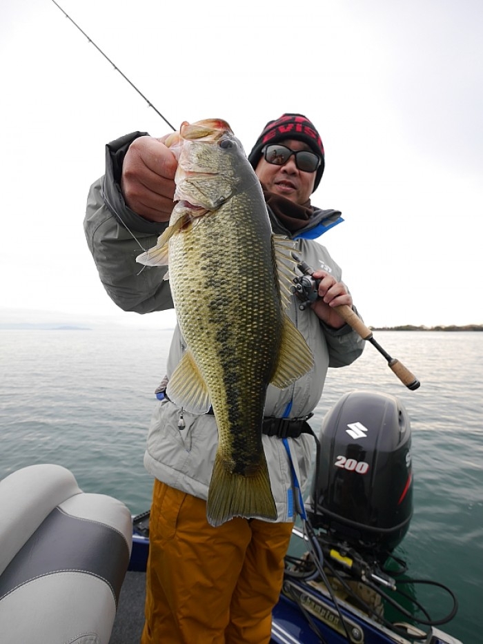 truth  ブログ写真 2017/11/22