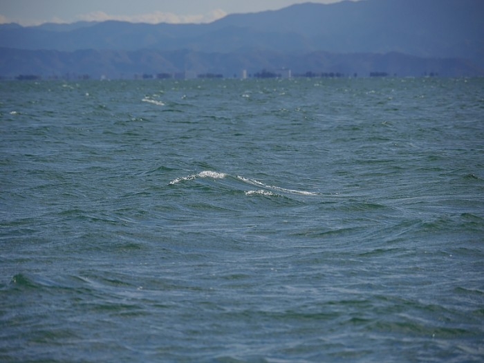 truth  ブログ写真 2017/11/24