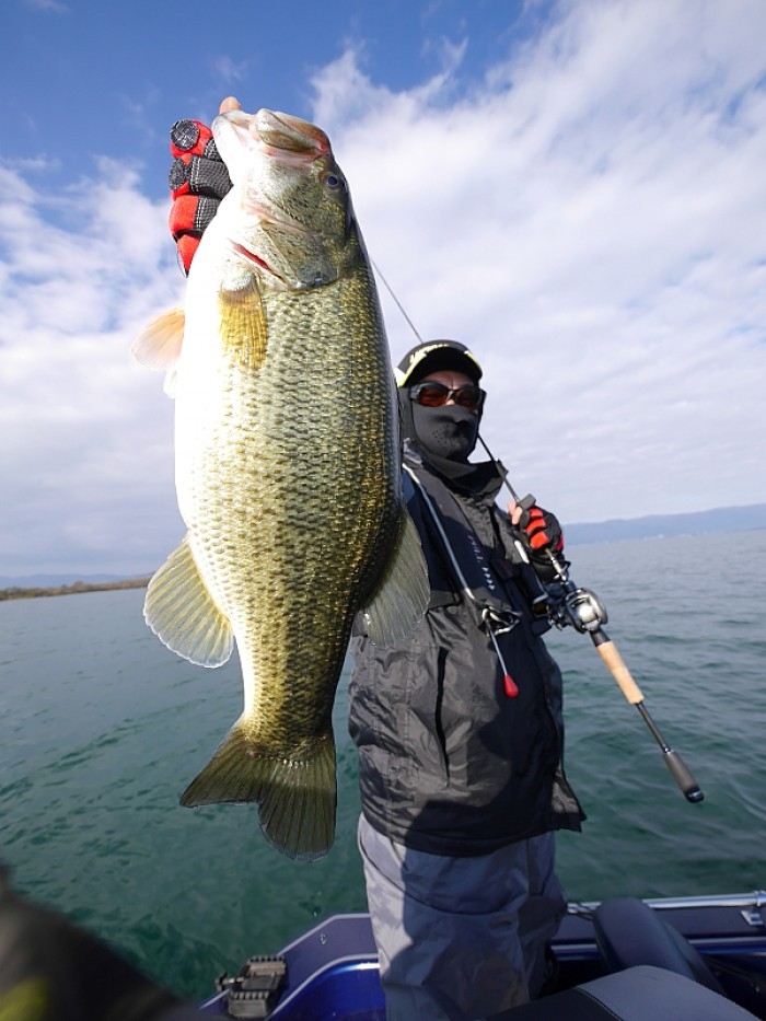 truth  ブログ写真 2017/11/28