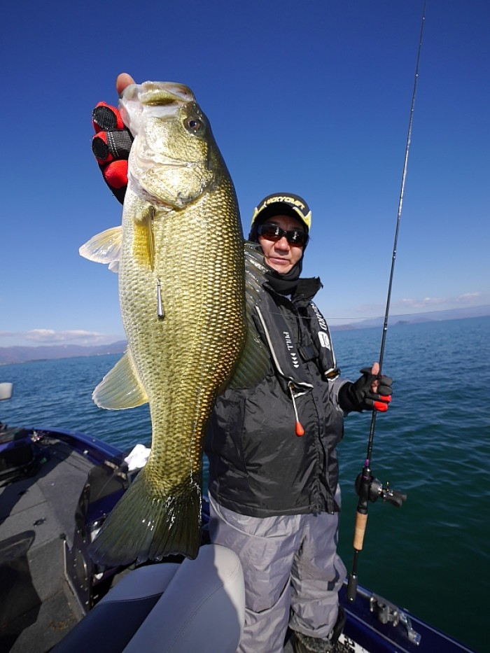 truth  ブログ写真 2017/11/28