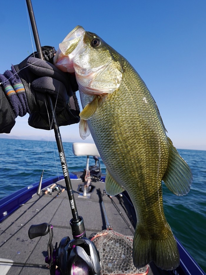 truth  ブログ写真 2017/12/07