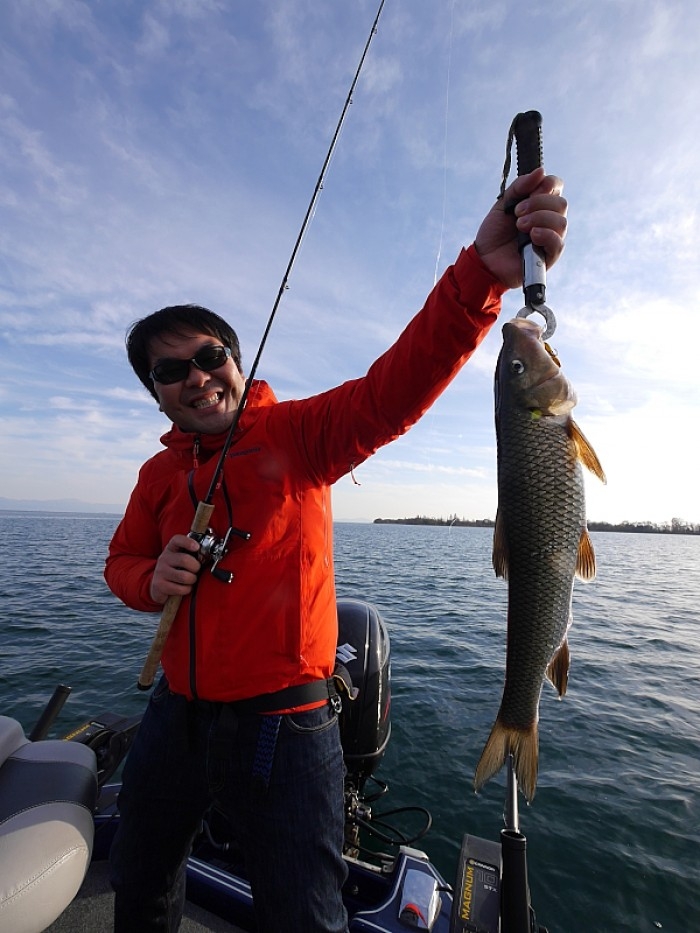 truth  ブログ写真 2017/12/07