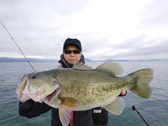 truth  ブログ写真 2017/12/09