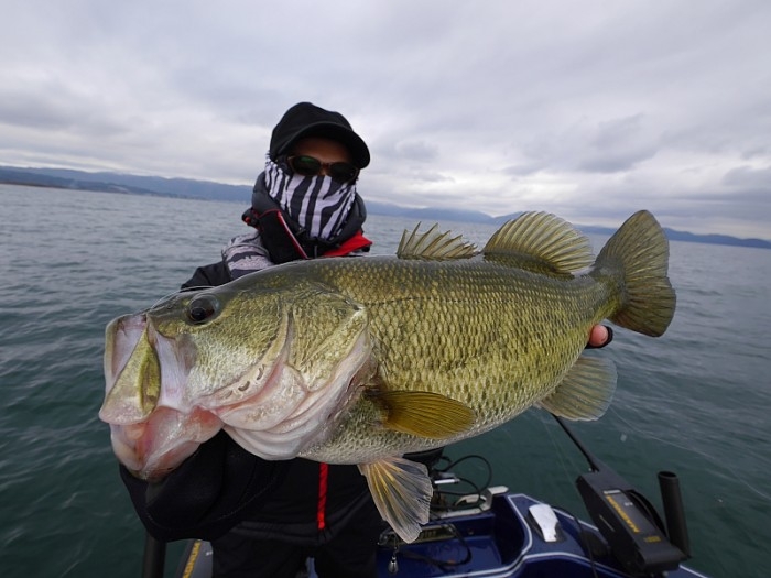 truth  ブログ写真 2017/12/09