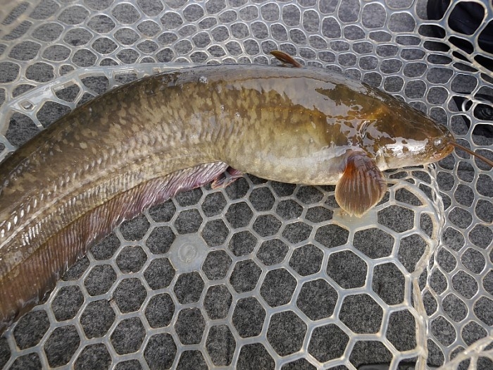 truth ブログ写真 2017/12/14