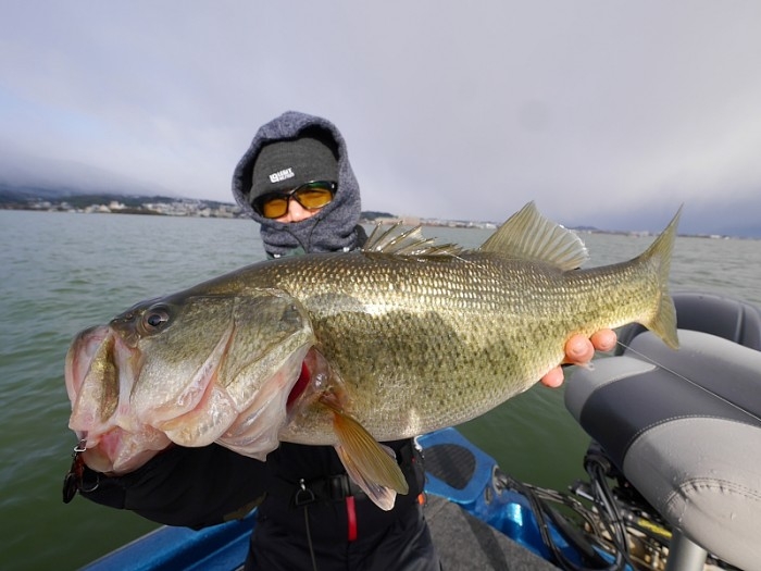 truth ブログ写真 2017/12/14