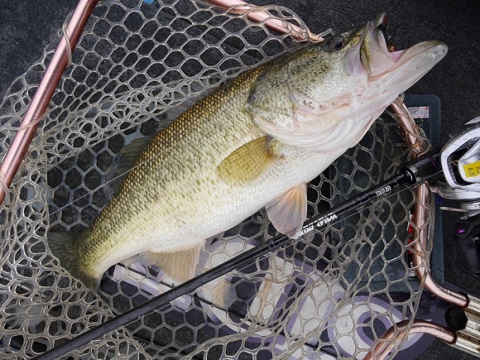 truth ブログ写真 2017/12/14