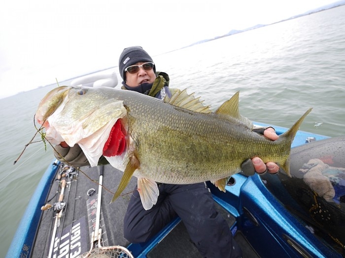 truth ブログ写真 2017/12/14