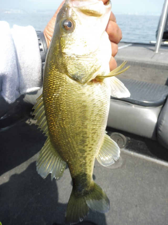 truth okuma ブログ写真 2016/04/09