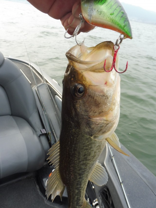 truth okuma ブログ写真 2016/04/09