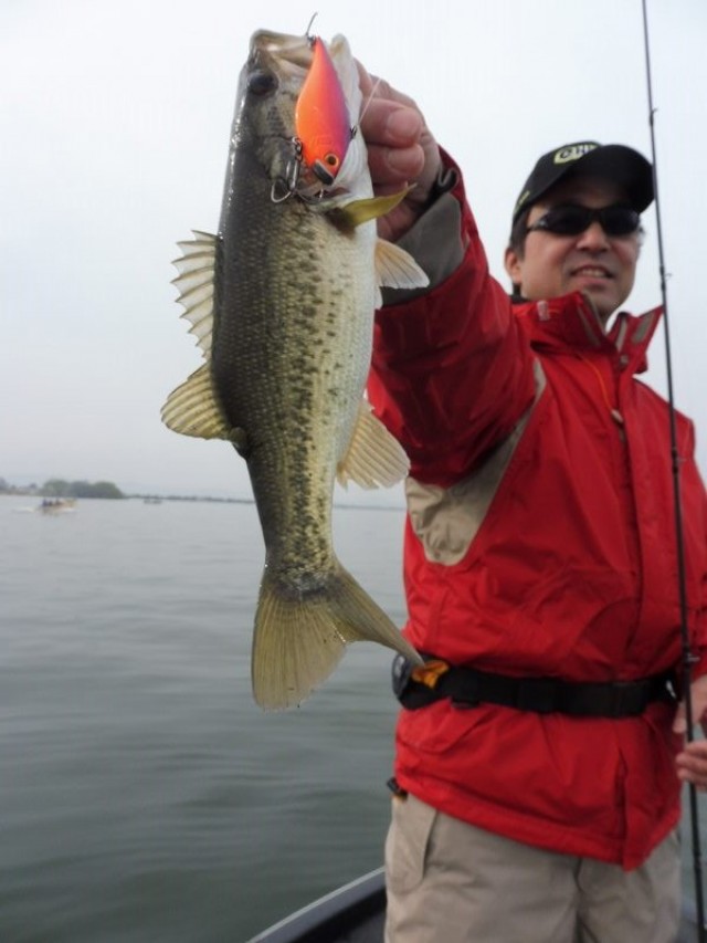 truth okuma ブログ写真 2016/04/10