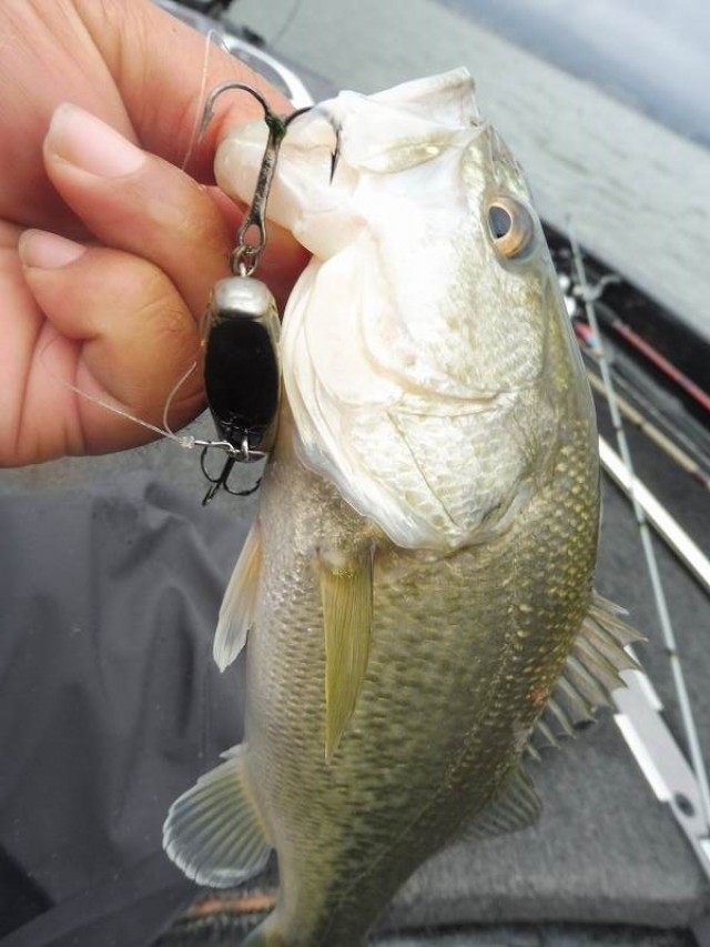 truth okuma ブログ写真 2016/04/13