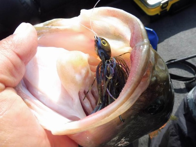 truth okuma ブログ写真 2016/04/15