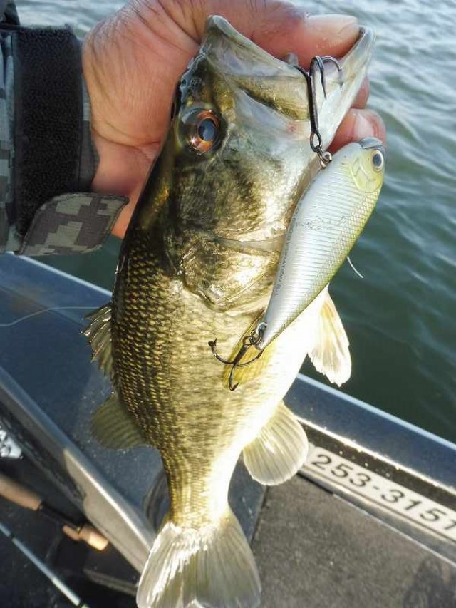 truth okuma ブログ写真 2016/04/15