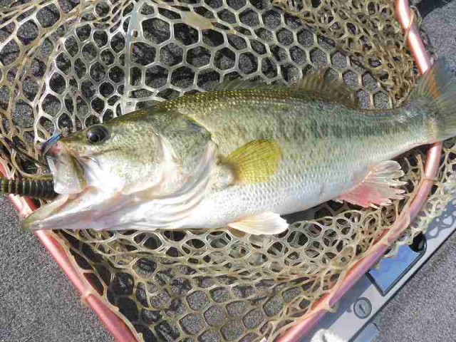 truth okuma ブログ写真 2016/04/15