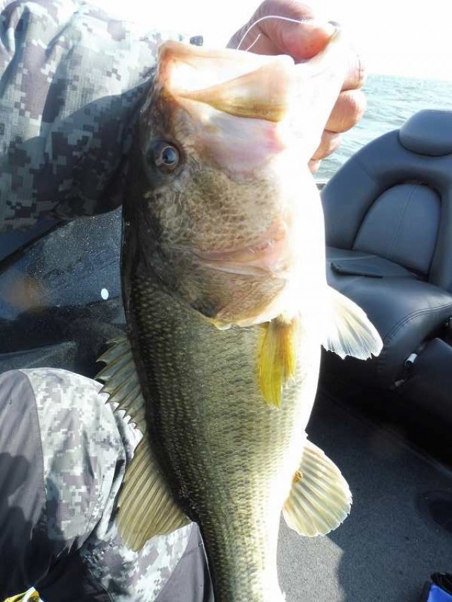 truth okuma ブログ写真 2016/04/15