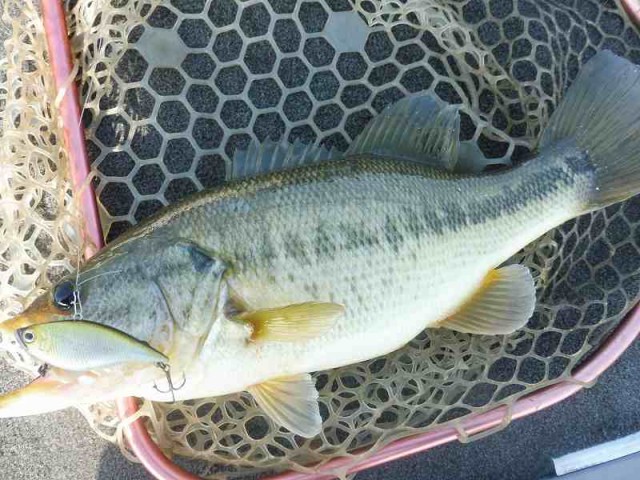 truth okuma ブログ写真 2016/04/15