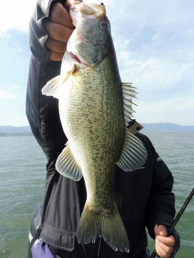 truth okuma ブログ写真 2016/04/16