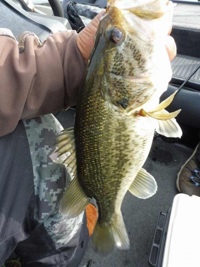 truth okuma ブログ写真 2016/04/16