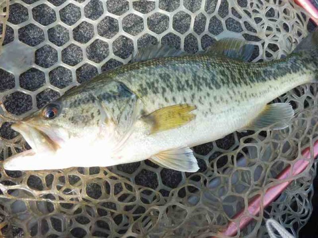 truth okuma ブログ写真 2016/04/16